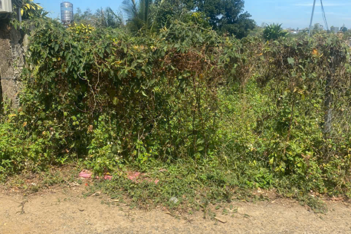 🌟 MUA LÀ CÓ LỘC – SỞ HỮU NGAY LÔ ĐẤT GÓC 2 MẶT TIỀN TẠI LỘC THANH – NGON NHƯ GÀ QUAY MỚI RA LÒ! 🍗🔥