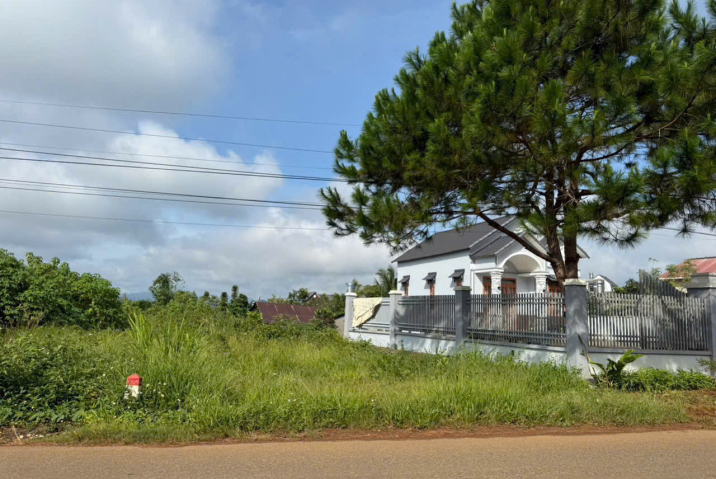 🔥 SIÊU VỊ TRÍ – ĐẤT MẶT TIỀN PHÙNG HƯNG, P.2 – TP. BẢO LỘC 🔥