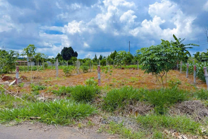 🚨GIÁ NGỘP RỚT NHƯ LÁ MÙA THU – MẶT TIỀN CHÍNH HẺM 134 PHÙNG HƯNG, P3 BẢO LỘC – CHỈ 1 TỶ 550! 🚨