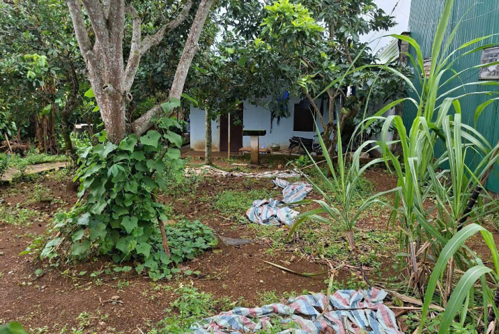 🌟 BÁN ĐẤT 2 MẶT TIỀN HẺM 233 BÙI THỊ XUÂN, P.1, TP. BẢO LỘC 🌟