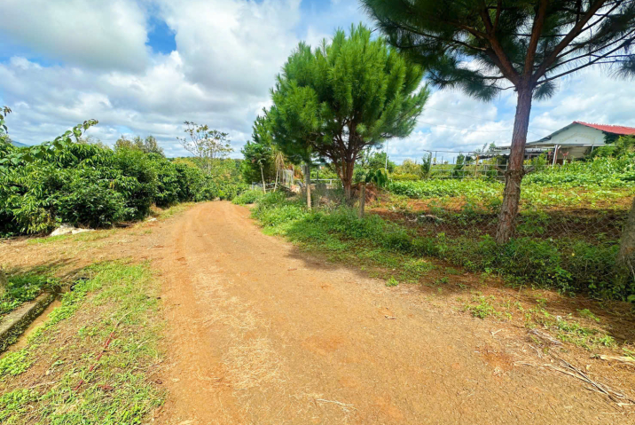 🌟 LÔ ĐẤT ĐẸP MẶT TIỀN TRỊNH HOÀI ĐỨC – ĐẦU TƯ SINH LỜI CAO TẠI B’LAO MỚI 🌟