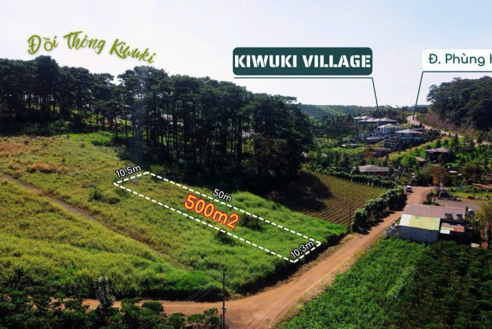 🌲 ĐẤT VIEW RỪNG THÔNG KIWUKI – PHƯỜNG 2 BẢO LỘC – CƠ HỘI ĐẦU TƯ ĐẮC GIÁ!