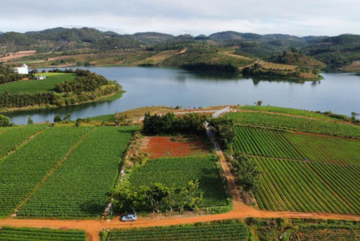 Đất nền nghỉ dưỡng Bảo Lộc – Top 5 dự án uy tín nhất cho nhà đầu tư