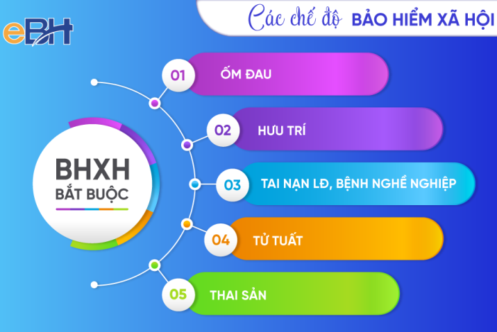 Bảo Hiểm Xã Hội: Cảnh Giác Với Những Rủi Ro Ẩn Sau Cái Mác 'An Toàn'!