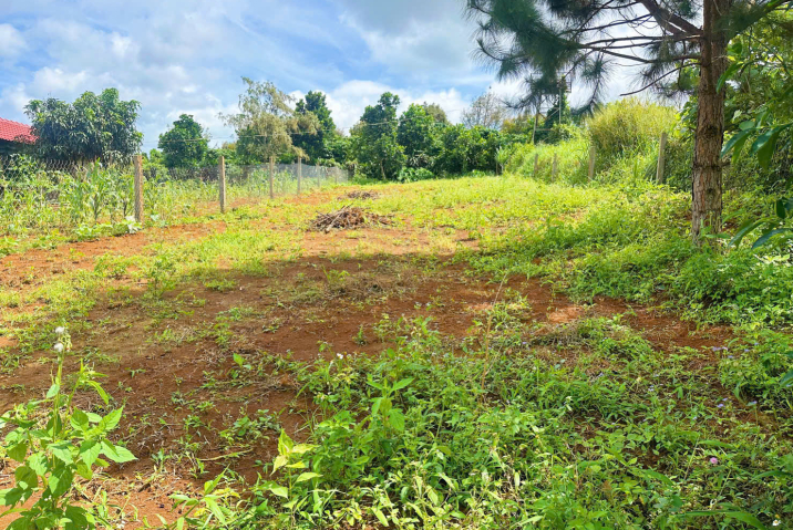 🔥 CƠ HỘI VÀNG SỞ HỮU LÔ ĐẤT MẶT TIỀN TRỊNH HOÀI ĐỨC – PHƯỜNG B'Lao MỚI, BẢO LỘC – GIÁ CỰC HẤP DẪN!🔥 