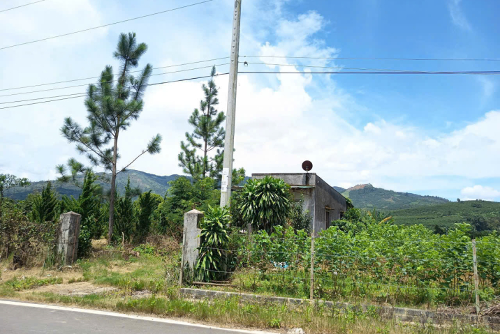 🏗️ BÁN ĐẤT MẶT TIỀN ĐINH CÔNG TRÁNG – PHƯỜNG 3, TRUNG TÂM TP. BẢO LỘC 🔥