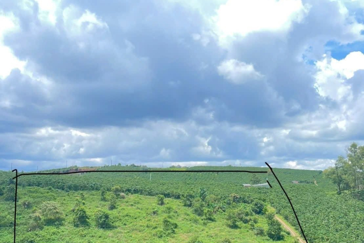 🌟 ĐẤT 2 MẶT HẺM LÝ THƯỜNG KIỆT, PHƯỜNG 1, TP. BẢO LỘC – SAU NHÀ THỜ VÔ NHIỄM 🌟