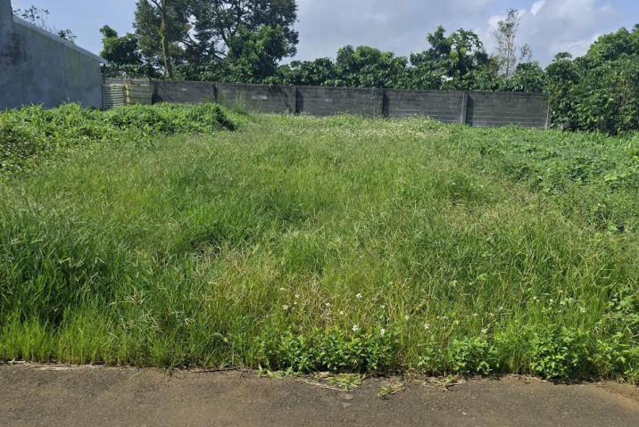 🏡 LÔ ĐẤT ĐẸP NGAY CHỢ – HẺM NGUYỄN ĐÌNH CHIỂU – 100M² THỔ CƯ – GIÁ CHỈ 1 TỶ 750 TRIỆU!!!