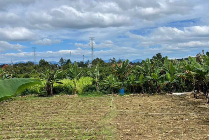 🔥ĐẤT NỞ HẬU – HẺM Ô TÔ – GẦN ĐẠI HỌC TÔN ĐỨC THẮNG – GIÁ NGON HẾT HỒN!!! 🔥