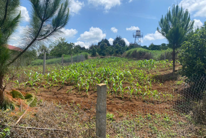 🔥 CHÍNH CHỦ BÁN CẮT LỖ LÔ ĐẤT ĐẸP MẶT TIỀN TRỊNH HOÀI ĐỨC – P. B’LAO MỚI – TP. BẢO LỘC 🔥