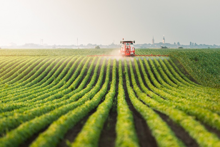 Có nên mua đất Bảo Lộc ở thời điểm này? Những lưu ý khi mua đất tại BẢO lỘC 