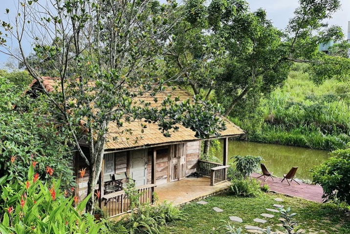 Bảo Lộc Homestay: Trải Nghiệm Nghỉ Dưỡng Độc Đáo Tại Thành Phố Cao Nguyên