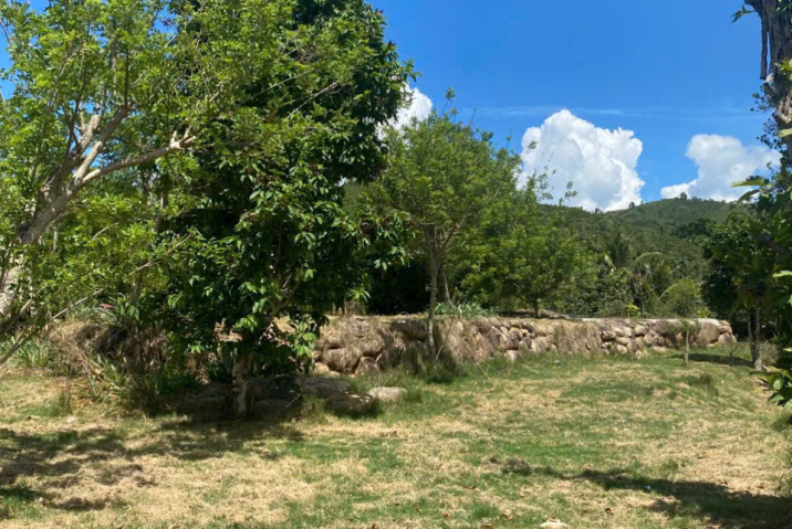 🔥 CHÍNH CHỦ BÁN ĐẤT ĐẸP BẰNG PHẲNG – AO SEN – BẢO LÂM 3 🔥