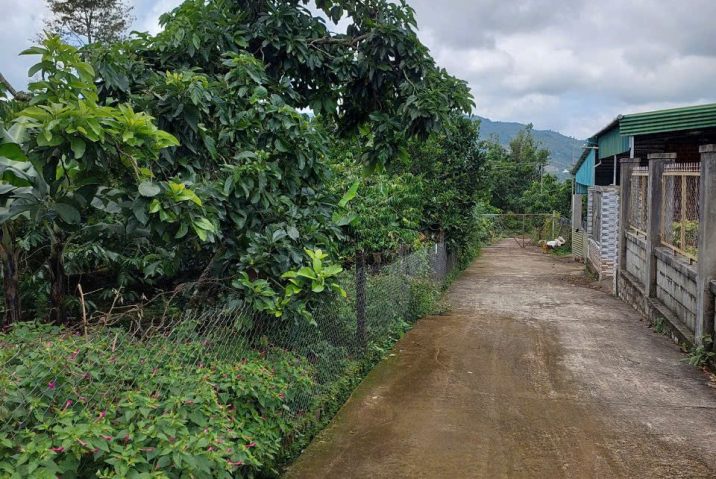 🏡 AN CƯ LÝ TƯỞNG – LÔ ĐẤT HẺM 77 ĐƯỜNG 1/5 – GẦN COOPMART – GIÁ SIÊU MỀM!