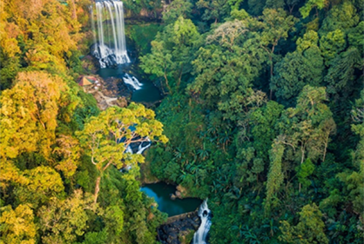 Chơi Gì Khi Tới Bảo Lộc? Điểm Đến Lý Tưởng Cho Những Ai Yêu Thích Khám Phá và Nghỉ Dưỡng