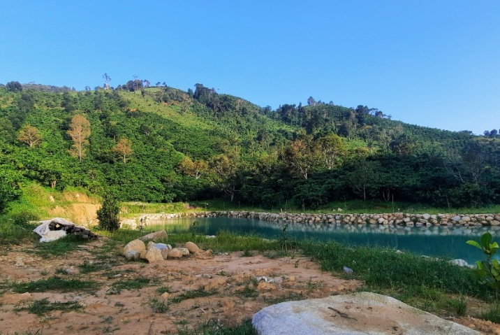 Đất Nền Bảo Lộc: Thị Trường Đất Nền Được Giới Đầu Tư Săn Đón Nhất Hiện Nay