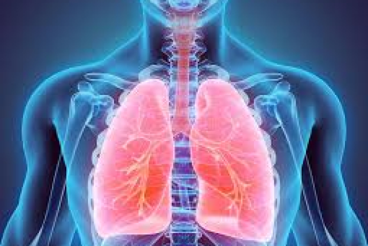 Ăn gì bổ phổi? 8 loại thực phẩm giúp phổi khỏe mạnh hơn mỗi ngày