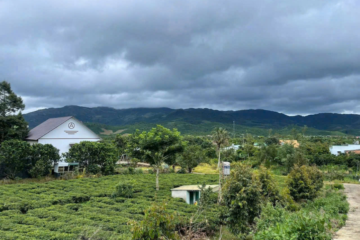 🔥 LÔ ĐẤT SIÊU TO KHỔNG LỒ VIEW NGHỈ DƯỠNG, PHƯỜNG 3 – CHỈ DÂNG CHỨ KHÔNG BÁN THÌ ĐỂ LẠI CHO AI? 🔥