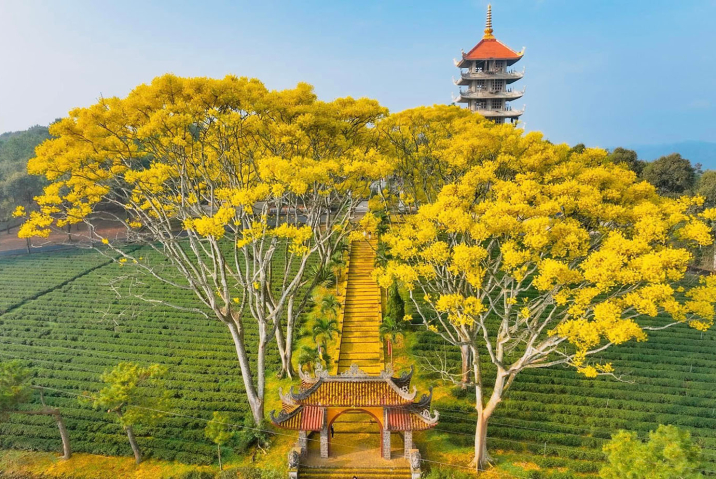 Khám phá Bảo Lộc -  Top 5 địa điểm du lịch tại Bảo Lộc