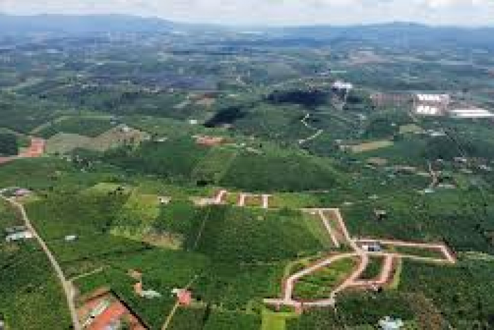 Lộc An Bảo Lâm: Khám Phá Vùng Đất Bình Yên và Tươi Mới Tại Lâm Đồng