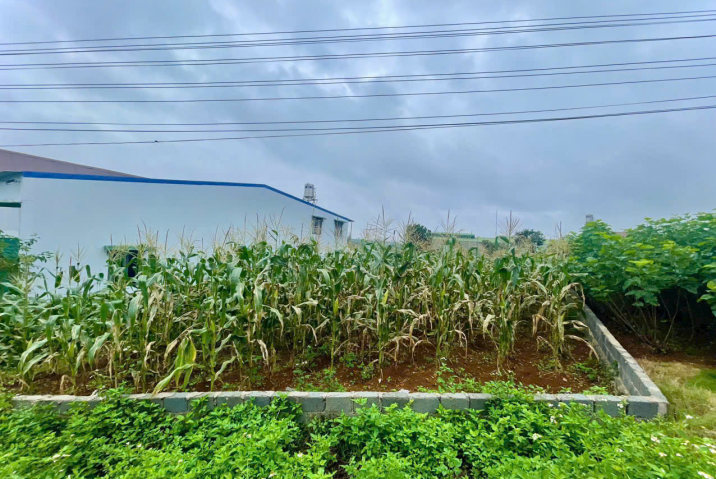 Bán đất Phường 2 mới Bảo Lộc - Đất hẻm - Giá: 2 tỷ 750