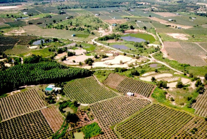 Quy định về tách thửa và hợp thửa đất tại Bảo Lộc mới nhất