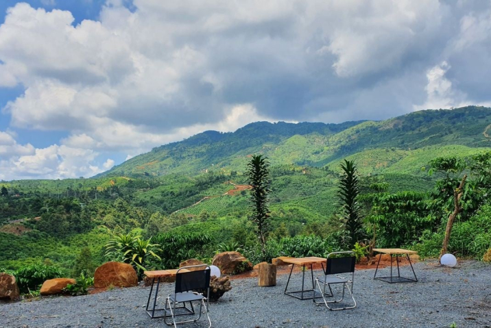 Cà Phê Bảo Lộc. Tinh Túy Từ Đất Trời Cao Nguyên