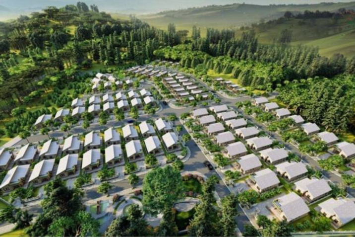 The Misty Forest Rừng trong sương – nơi mỗi sáng mở mắt ra là một bức tranh mờ ảo tuyệt đẹp.