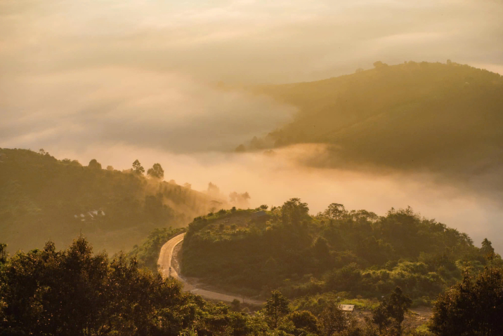 Sự Khác Biệt Giữa Homestay Và Farmstay