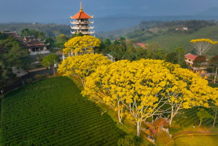 Du Lịch Bảo Lộc - Ăn gì, chơi gì - Lịch trình du lịch 2N1Đ dành cho bạn