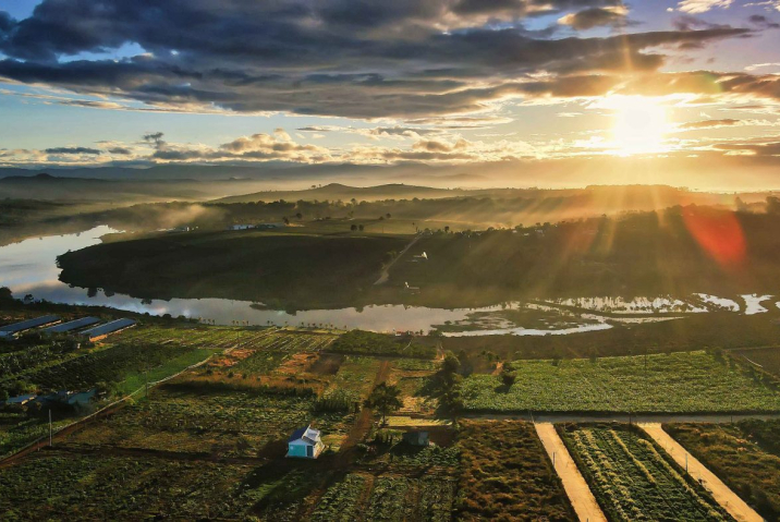 Cách Xử Lý Đất Thóp Hậu Hiệu Quả – Biến Nhược Điểm Thành Ưu Điểm