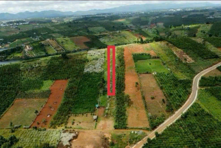 1 sào Gần hồ đảo voi Thôn 3 Lộc Tân