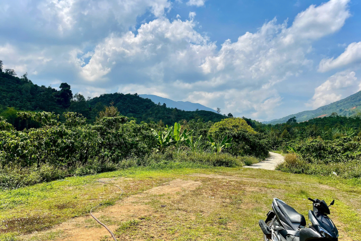 DO CHUYỂN HƯỚNG KINH DOANH RA HÀ NỘI, EM CẦN BÁN GẤP 3 SÀO ĐẤT CÀ PHÊ TẠI LỘC ĐỨC BẢO LỘC, ANH CHỊ EM NÀO THIỆN CHÍ EM ĐỂ 750TR THÔI Ạ.