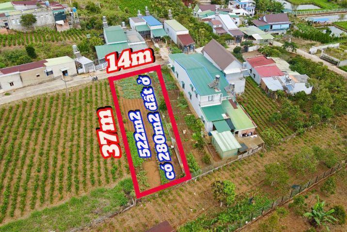 NỢ NGÂN HÀNG SỐ TIỀN LỚN, EM BÁN GẤP LÔ ĐẤT CÁCH ĐƯỜNG LÝ THÁI TỔ CHỈ 40M, EM ĐỂ NHANH 650TR Ạ.