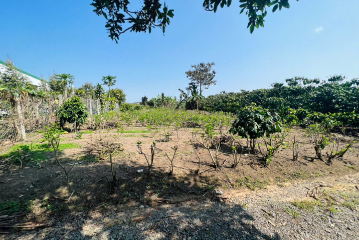 CẦN TẤT TOÁN CÔNG NỢ XẢ LỖ NGAY HẺM ĐOÀN THỊ ĐIỂM LỘC THANH BẢO LỘC, GIÁ NGỘP