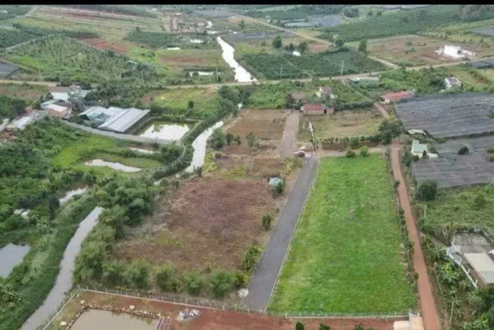 Chủ “đuối vốn”, bán gấp lô đất sổ sẵn – chốt giá siêu rẻ