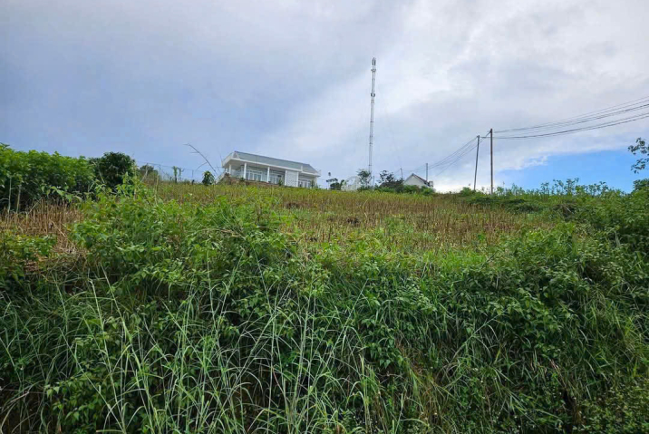 Gia đình kẹt tiền học con học đại học, Cần bán lô đất hẻm 02 tản đà - Giá 1 tỷ 5 