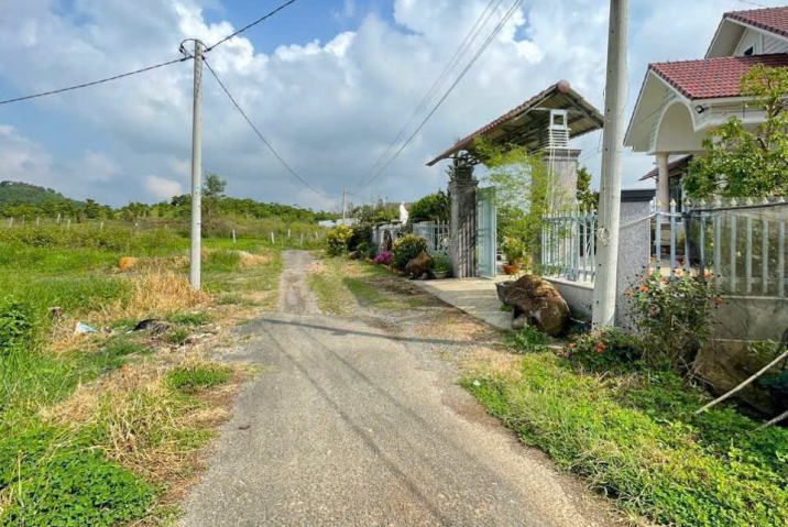 Bán đất cho con đi du học - hẻm Đinh Công Tráng - Lộc Châu - 10x28 sẳn 200m2 thổ cư - Giá ngộp 700tr