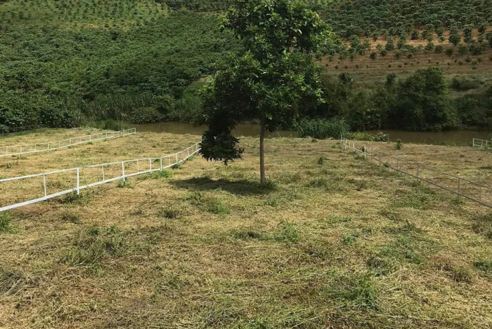 Cần bán gấp để trả nợ ngân hàng - thôn 2 Lộc Ngãi thuộc Bảo Lâm - Diện tích 11x58 - Giá 850tr