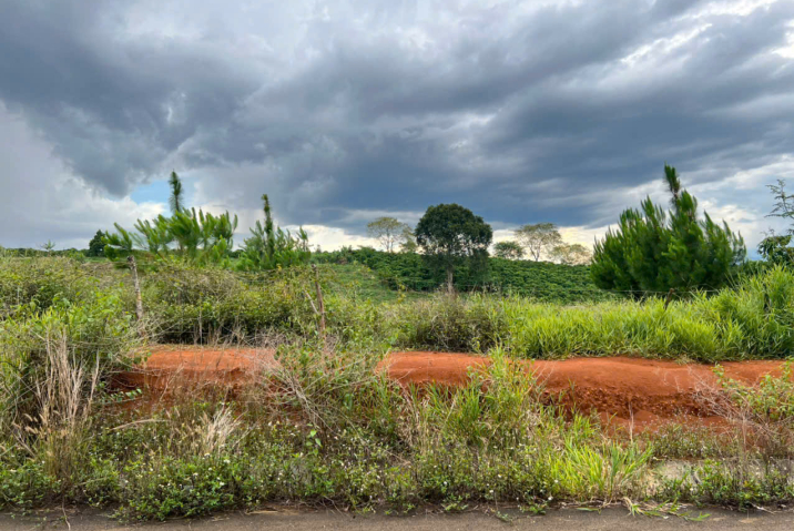 Cần bán lô đất Mặt Tiền Trần Quang Khải, Lộc Nga, TP Bảo Lộc - GIÁ : 1,4 Tỷ Cả Lô ( Bớt Lộc ). - DT : 16m × 83m ( 1355m2 )