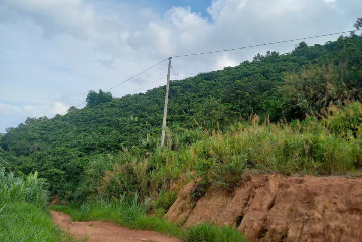 KẸT TIỀN BÁN NHANH LÔ - MẶT TIỀN ÂU CƠ TÂN LẠC NGAY CỔNG CHÀO - DIỆN TÍCH : 1389M2 SẴN 200MTC- GIÁ NGỘP 2TỈ 500 BAO SỔ