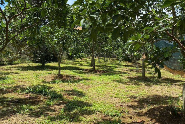 NỢ NGÂN HÀNG BÁN NHANH - LÔ ĐẤT HẺM 177 NGUYỄN ĐÌNH CHIỂU, PHƯỜNG LỘC PHÁT, BẢO LỘC - DIỆN TÍCH: 11 X 92 CÓ 150 MÉT THỔ CƯ - GIÁ 4 TỶ2 THƯƠNG LƯỢNG.