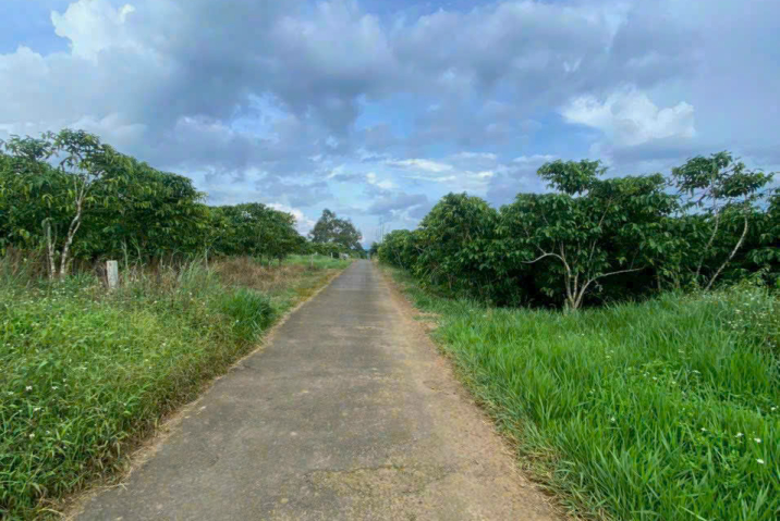 BÁN LÔ ĐẤT MẶT TIỀN CHI LĂNG LỘC THÀNH ĐÓNG TIỀN HỌC PHÍ CHO CON - 10X38 CÓ 110M THỔ CƯ - GIÁ: 1 TỶ4