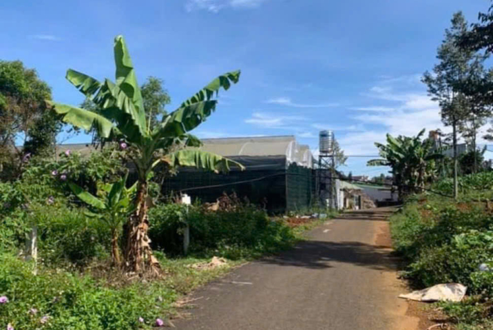 BÁN NHANH LẤY TIỀN ĐẦU TƯ NUÔI GIA SÚC - LÔ ĐẤT - HẺM 190 HUỲNH THÚC KHÁNG PHƯỜNG 2 BẢO LỘC LÂM ĐỒNG - GẦN KHU HÀNH CHÁNH THÀNH PHỐ, ĐƯỜNG NHỰA THÔNG, KHU DẪN CƯ - DTICH 6*32 GIÁ NGỘP 1TY