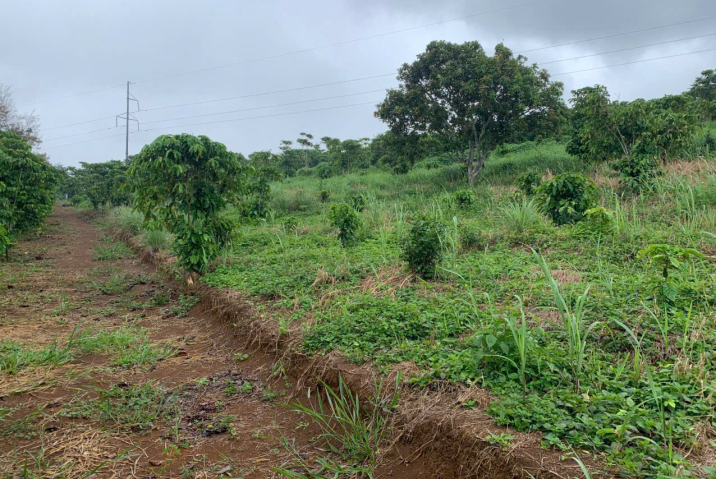 CHỦ GỬI BÁN 5500M2 HẺM CHI LĂNG THÔN 16 LỘC THÀNH - CÁCH QL20 CHỈ 10P, Ô TÔ TỚI NƠI - GIÁ: 1 TỶ 750 TRIỆU