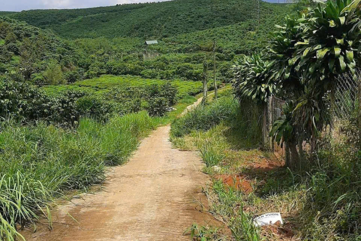 BÁN NHANH LÔ ĐẤT DIỆN TÍCH 5M ×60M (300M2) , CÓ 100M THỔ CƯ - SỔ HỒNG SẴN MẶT TIỀN ĐƯỜNG BÊ TÔNG , ĐƯỜNG THÔNG , KHU DÂN CƯ - VỊ TRÍ: THÔN 1 LỘC NGÃI , CÁCH TRUNG TÂM BẢO LÂM 1KM - GIÁ : 500TR