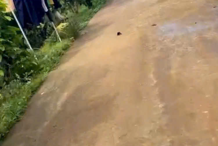 GẤP GẤP GẤP GẤP GẤP - LÔ ĐẤT VỚI GIÁ NGỘP ĐẤT NỀN MẠC THỊ BƯỞI LỘC THANH BẢO LỘC - DT 15 X 37 ĐẤT BẰNG DÂN CƯ - GIÁ CHỦ MUA 2 TỈ - CẦN TIỀN GIẢI QUYẾT CÔNG VIỆC NÊN CHỐT 1TI5