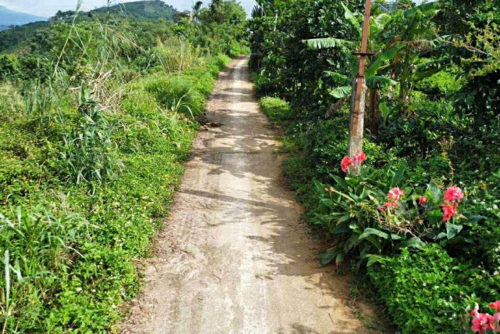 🔥 BÁN LÔ ĐẤT GIÁ RẺ – HẺM 132 BLAOSIRE, ĐẠI LÀO – TP. BẢO LỘC 🔥