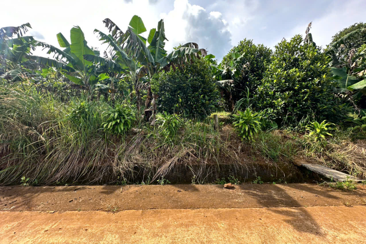 Bán đất Lộc Đức Bảo Lâm 20x30 – Sẵn 100m² thổ cư, giá chỉ 1 tỷ 200