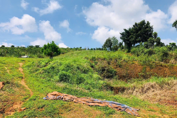 Bán Đất Giáp Hồ Thôn 2 Lộc Tân Cũ, Phường 2 – Giá 4 Tỷ (Thương Lượng)